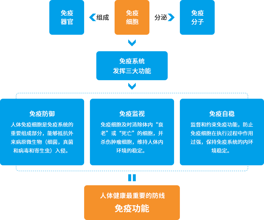 云顶集团官网